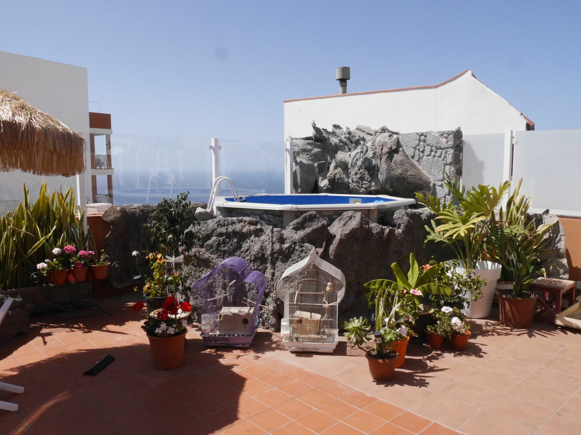 Drago Nest Hostel Icod De Los Vinos Buitenkant foto